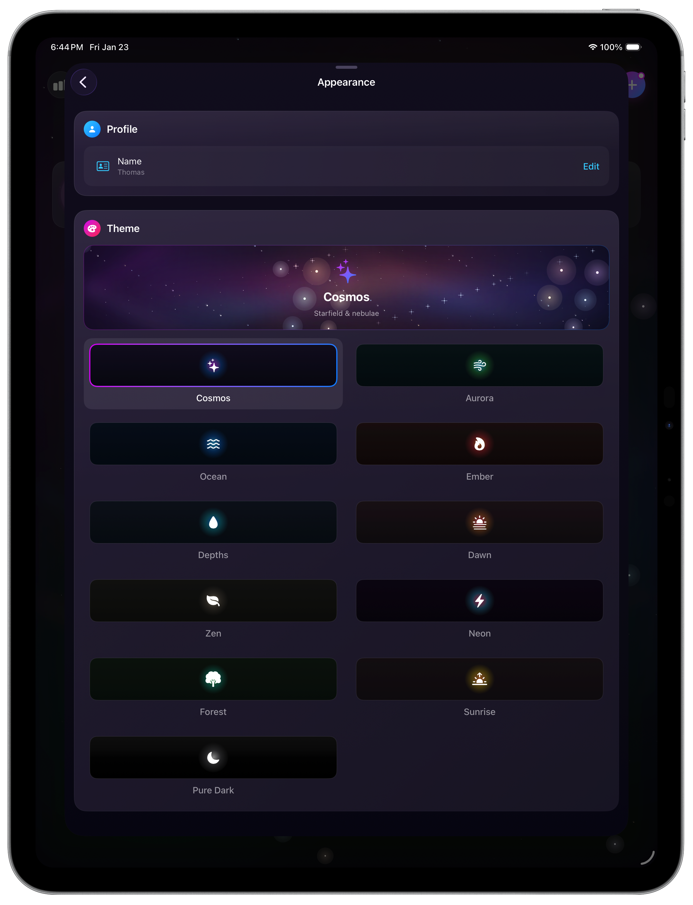 DayZero iPad insights